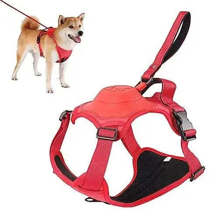 Dog Harness and Automatic Retractable Leash Kit showcasing a red harness and leash with a happy dog outdoors.