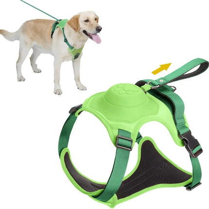 Dog Harness and Automatic Retractable Leash Kit featuring a comfortable green harness for dogs in use.