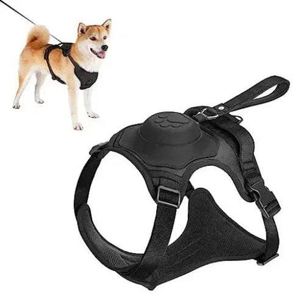 Dog Harness and Automatic Retractable Leash Kit with a dog wearing the harness and leash next to it.