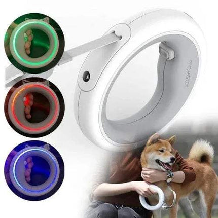 Dog Leash Ring Led Hands-Free Lighted Bungee Leash for safe night walks with colorful LED rings.