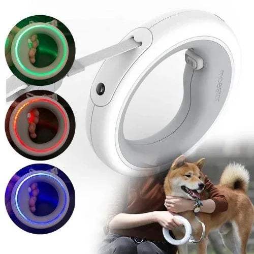 Dog Leash Ring Led Hands-Free Lighted Bungee Leash for safe night walks with colorful LED rings.