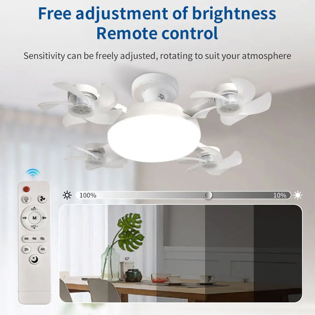 Socket Ceiling Fan Light Astoria Lifestyle