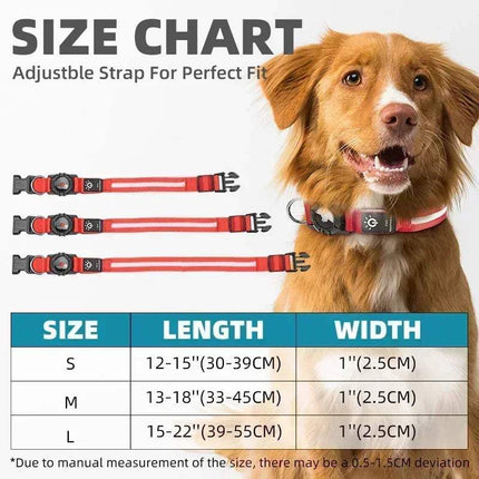 LED Dog Collar with AirTag Holder Waterproof & High Visibility Astoria Lifestyle