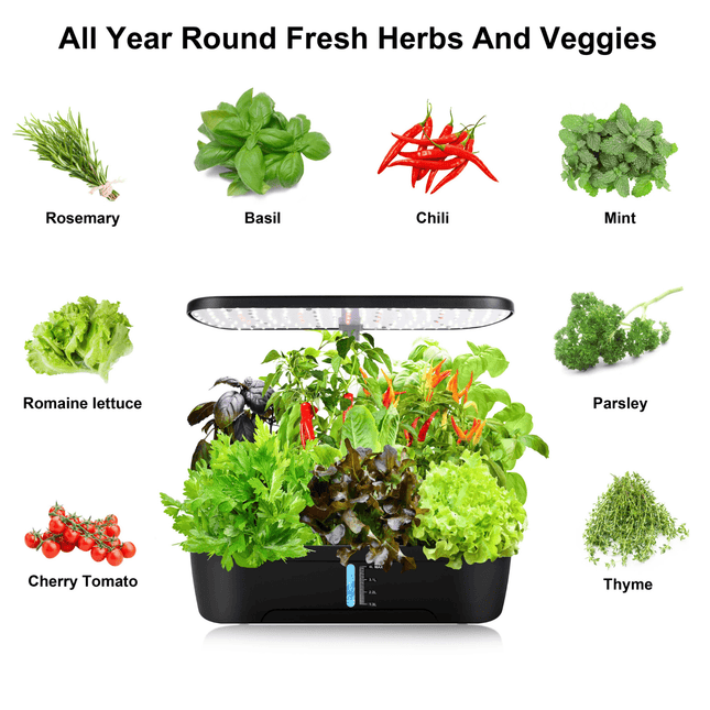 12 Pods Hydroponics Growing System showcasing fresh herbs and veggies like basil, mint, and cherry tomatoes in an indoor garden setup.