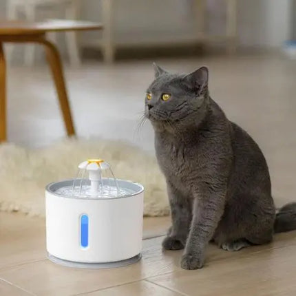 Automatic Cat Water Fountain Pet Drinking Water Dispenser Bowl Astoria Lifestyle