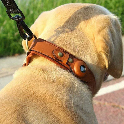 Leather AirTag Dog Collar on a dog showing stylish design and secure fit for GPS tracking.