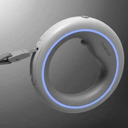 Dog Leash Ring Led design featuring a lighted bungee leash for safe night walks