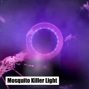 Mosquito Lamp UV Insect Trap Fan Suction Bug Catcher Device Astoria Lifestyle