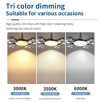 Socket Ceiling Fan Light Astoria Lifestyle