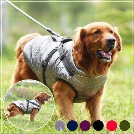 Waterproof Dog Harness Jacket Warm, Dry & Secure Outdoor Protection Astoria Lifestyle