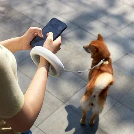 Person using a smartphone while holding a Dog Leash Ring Led for hands-free night walks with a dog.