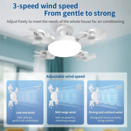Socket Ceiling Fan Light Astoria Lifestyle