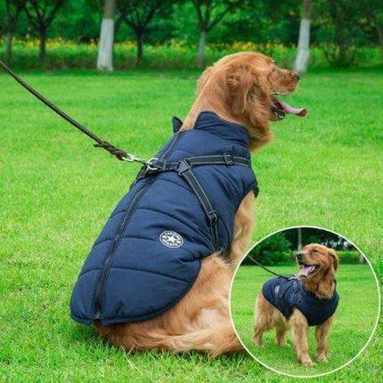 Waterproof Dog Harness Jacket Warm, Dry & Secure Outdoor Protection Astoria Lifestyle