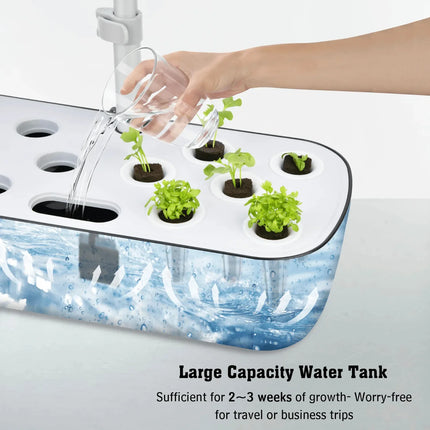 12 Pods Hydroponics Growing System Astoria Lifestyle