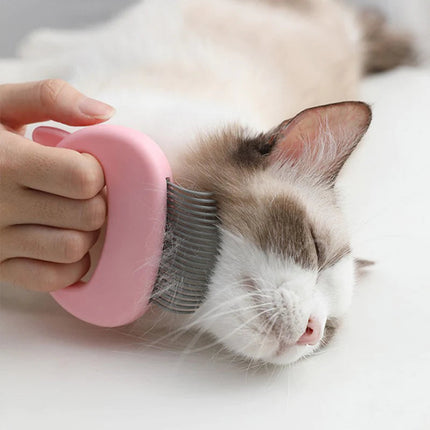 Cat Grooming & Massage Comb Pet Deshedding Brush for Cats Astoria Lifestyle