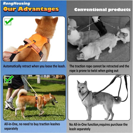 Dog Harness and Automatic Retractable Leash Kit advantages comparison with conventional products.