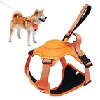 M / Orange
