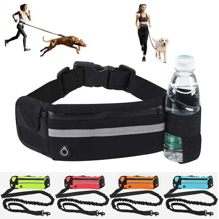 Hands-Free Dog Leash Shock-Absorbing Reflective for Active Walks Astoria Lifestyle