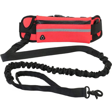 Hands-Free Dog Leash Shock-Absorbing Reflective for Active Walks Astoria Lifestyle