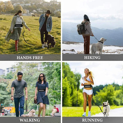 Hands-Free Dog Leash Shock-Absorbing Reflective for Active Walks Astoria Lifestyle