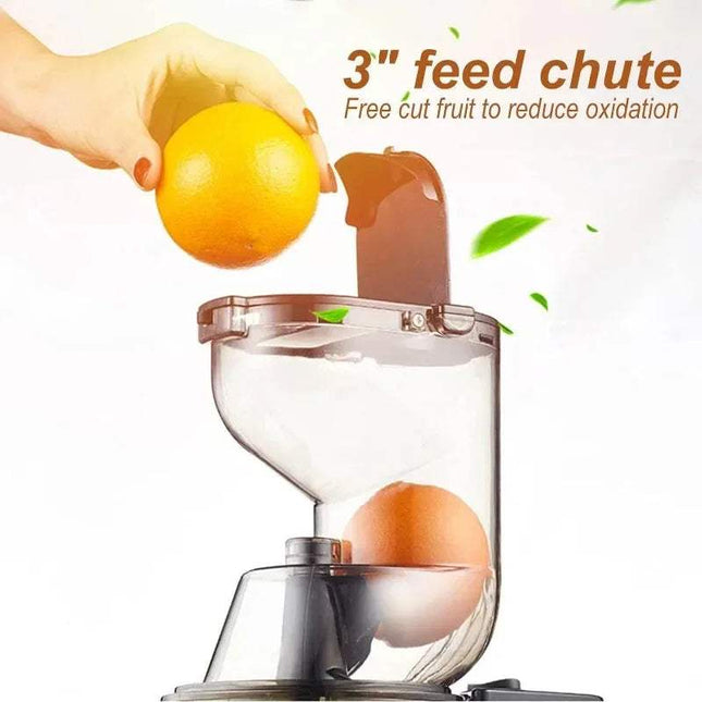 Fruit being placed into a Masticating Juicer Machine with text about a 3-inch feed chute.
