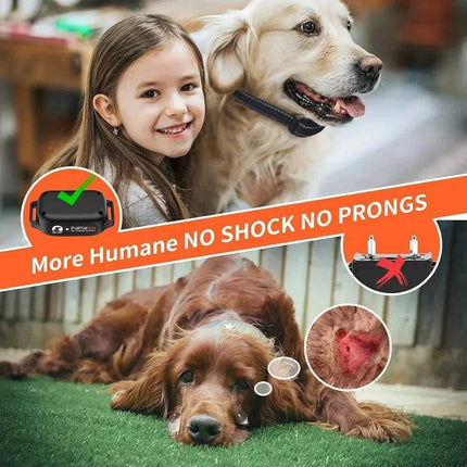 Two dogs lying on grass with a child, using Dog Training Collar Humane No-Shock Training with Vibration & Beep featuring text about humane dog training products.