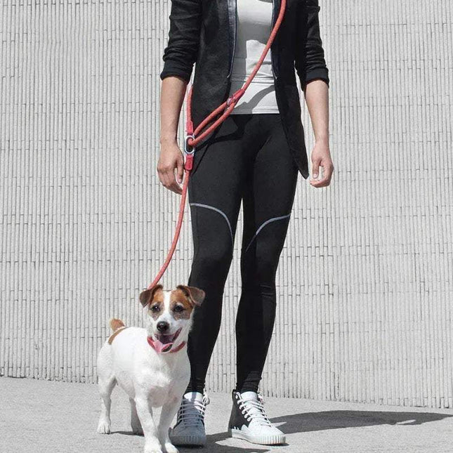 A person walking a dog with a Reflective Hands-Free Nylon Leash for Pets, showcasing comfort and visibility.
