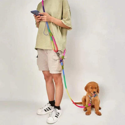 Person using Reflective Hands-Free Nylon Leash for Pets while walking a puppy on a colorful leash.