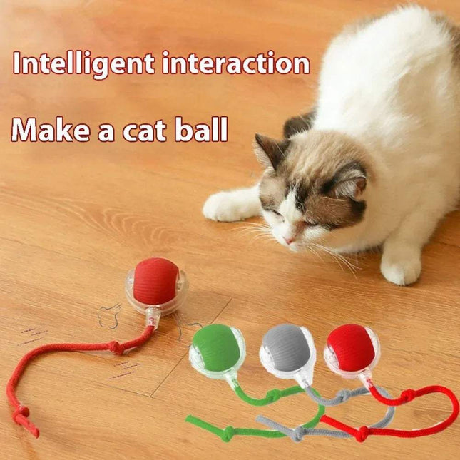 Cat playing with an Automatic Rolling Ball Cat Toy  on a wooden floor, with text 'Intelligent interaction Make a cat ball'.