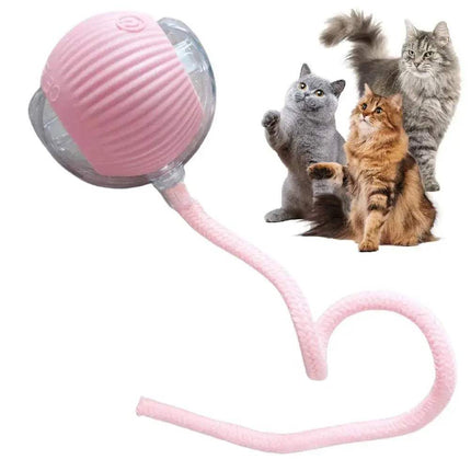 Pink Automatic Rolling Ball Cat Toy and three cats on a white background