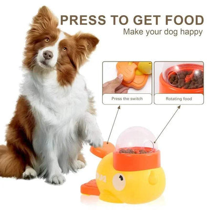 Automatic Interactive Pet Feeder with dog, press to get food, a fun and engaging way to feed pets.