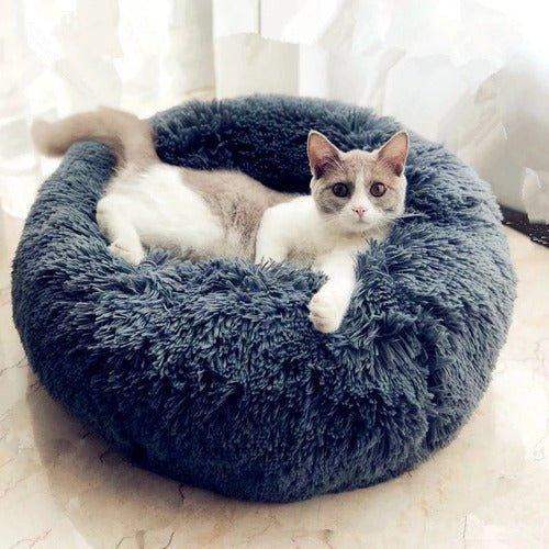 Cat lying on a Cozy Cat Bed with Soft Plush Comfort & Raised Rim Support indoors