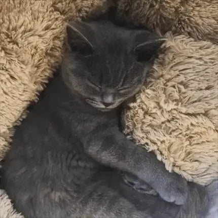 Cozy Cat Bed with soft plush comfort, showing a cat curled up peacefully in warm, fluffy surroundings.