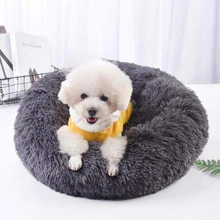 Small white dog wearing a yellow sweater sitting on a gray  Cozy Cat Bed