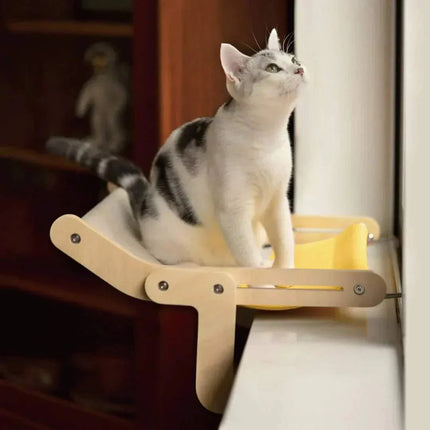 Cat sitting on a yellow and brown Sturdy Hanging Cat Bed by a window