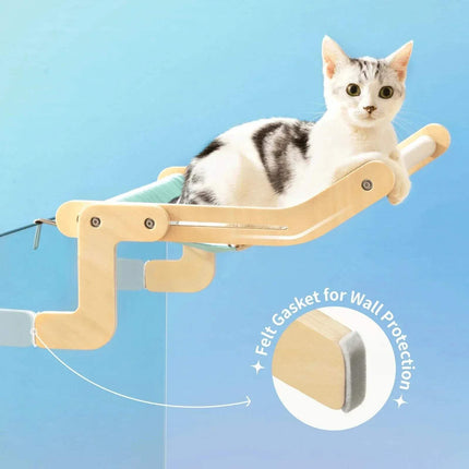 Cat lounging on a Sturdy Hanging Cat Bed with felt gasket for wall protection on a blue background