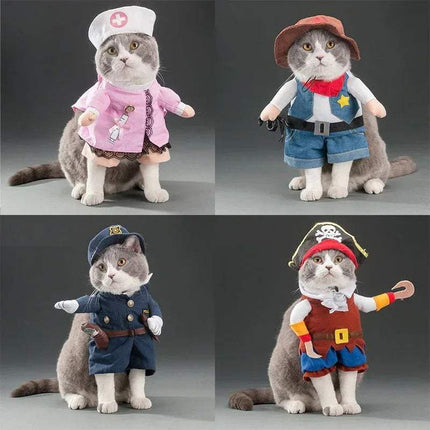 Four cats in different Funny Pet Costumes on a gray background