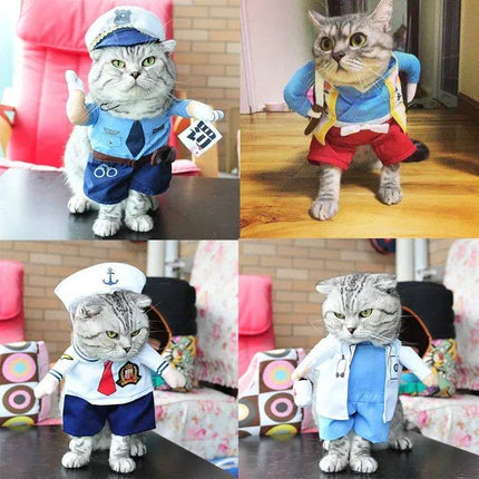 Four images of a cat wearing different Funny Pet Costumes in various settings.