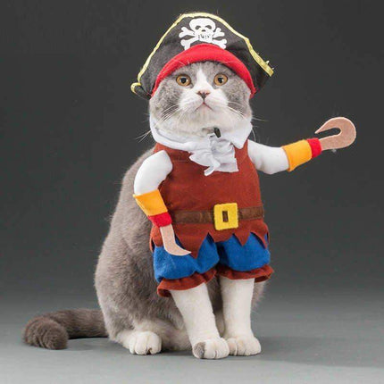 Cat wearing a pirate Funny Pet Costumes with a gray background