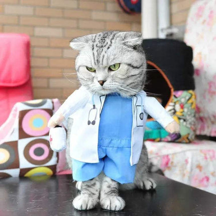Cat wearing a doctor Funny Pet Costumes with a stethoscope in a home setting
