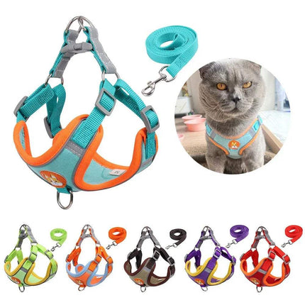 Pet Cat Harness & Leash Set with a cat wearing the harness inset, and additional color options displayed below. - Astoria Lifestyle