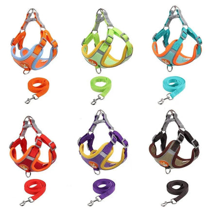 Set of colorful Pet Cat Harness & Leash Set and leashes on a white background - Astoria Lifestyle
