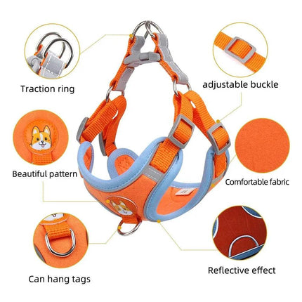 Orange Pet Cat Harness & Leash Set with features highlighted on a white background - Astoria Lifestyle
