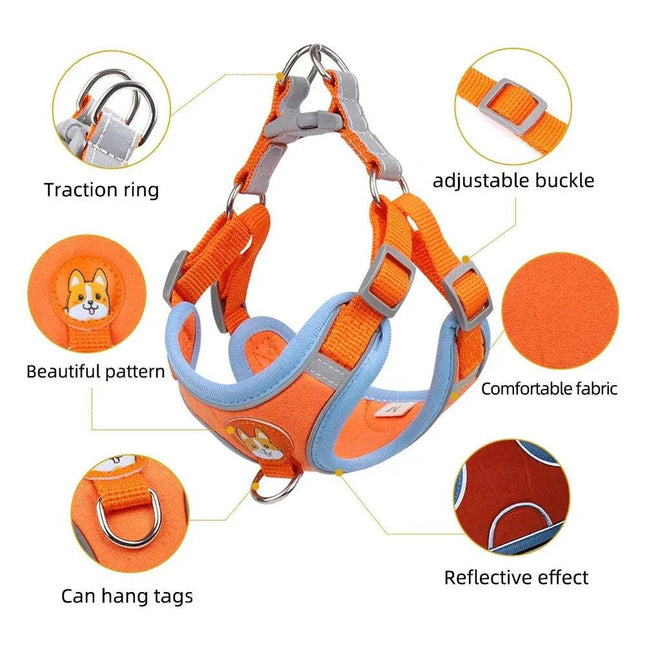 Orange Pet Cat Harness & Leash Set with features highlighted on a white background - Astoria Lifestyle
