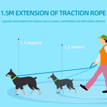 Illustration of a person walking two dogs with a 1.5 meter extension of traction rope of Pet Cat Harness & Leash Set on a blue background. - Astoria Lifestyle