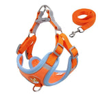 Orange / Size S