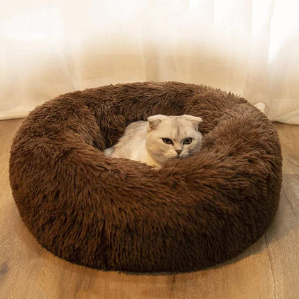 Comfortable Donut Bed for Pets with a cozy cat lounging in a soft, brown, round bed.
