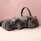 Small black cat