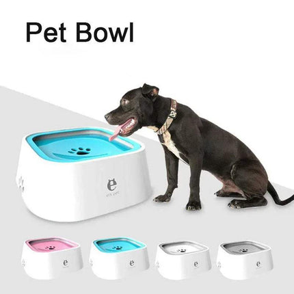 Dog drinking from a blue Pet Floating Bowl with additional bowls in the foreground on a white background.