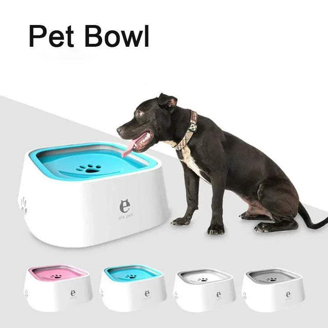 Dog drinking from a blue Pet Floating Bowl with additional bowls in the foreground on a white background.